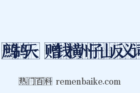 鹧鸪天·赠钱横州子山反义词是什么意思的图片
